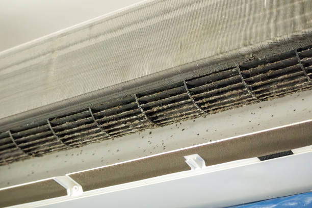 Best Air Duct Cleaning Near Me  in Safford, AZ