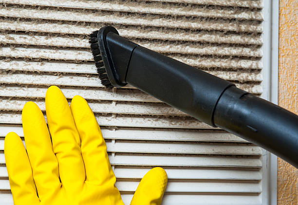 Best Air Duct Mold Removal  in Safford, AZ